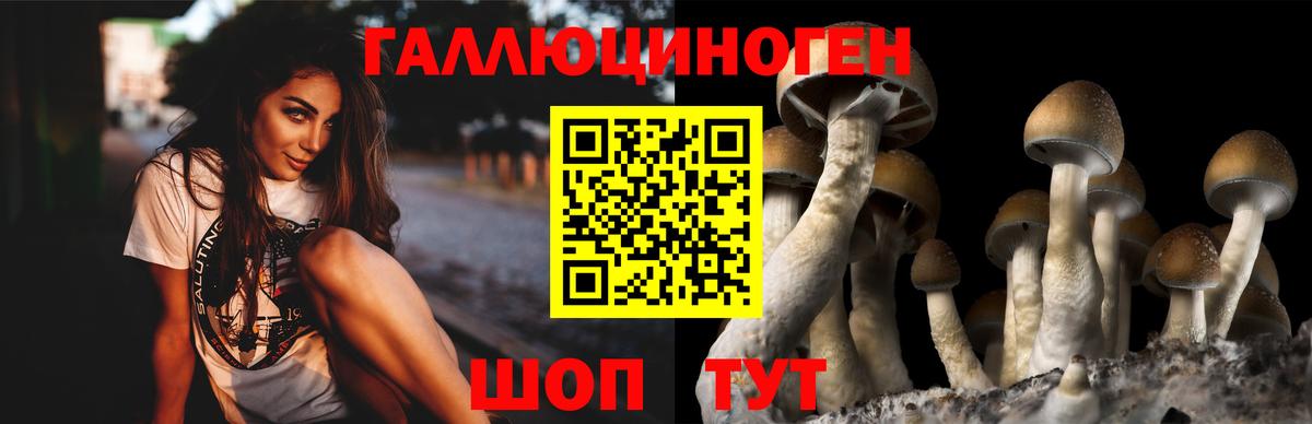 Псилоцибиновые грибы Cubensis  Псилоцибиновые грибы MAGIC MUSHROOMS  Вход с VPN  Советский 